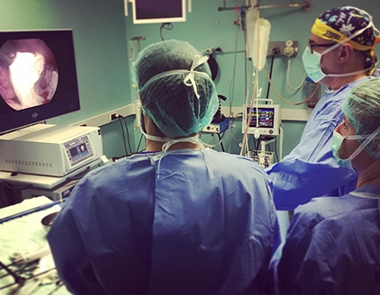 Strumentazione Clinica Veterinaria Dormelletto
