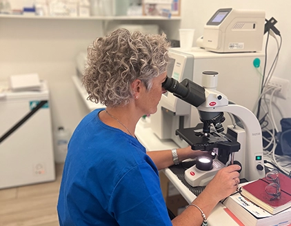 Strumentazioni Clinica Veterinaria Animalia Lissone