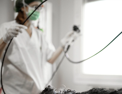 Strumentazioni Clinica Veterinaria PetCare Bologna