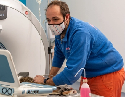 Tac Centro Diagnostico Veterinario JesiVet
