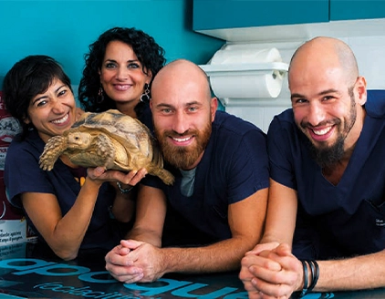 team clinica veterinaria dottor lovet ostia roma