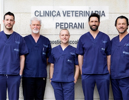 Team Clinica Veterinaria Pedrani Diagnostica Piccoli Animali