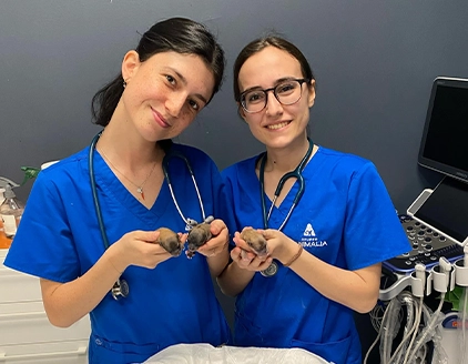 Team cuccioli cane piccoli Ospedale Veterinario Rezzato
