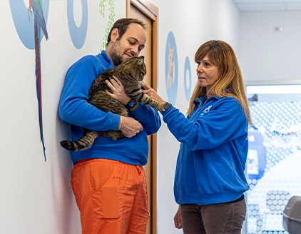 Team gatto Centro Diagnostico Veterinario JesiVet