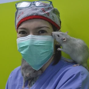 Topolino Clinica Veterinaria Clinac Genova