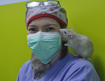 Topolino Clinica Veterinaria Clinac Genova