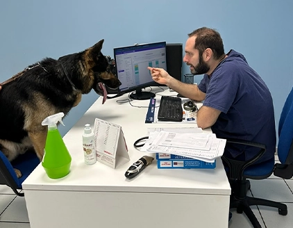 Visita cane Clinica Veterinaria Marche Sud Grottammare