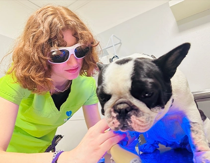 Visita cane Clinica Veterinaria Modena Sud
