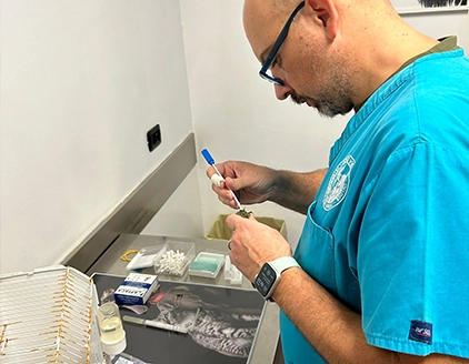 Visita Clinica Veterinaria San Giorgio Reggio Calabria