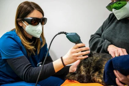 Servizi Clinica Veterinaria San Michele