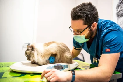 Staff Clinica Veterinaria San Michele