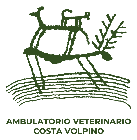 logo clinica