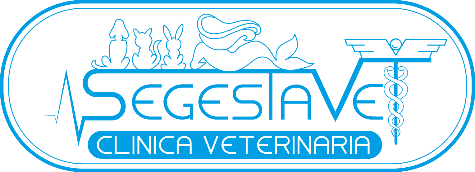 logo clinica