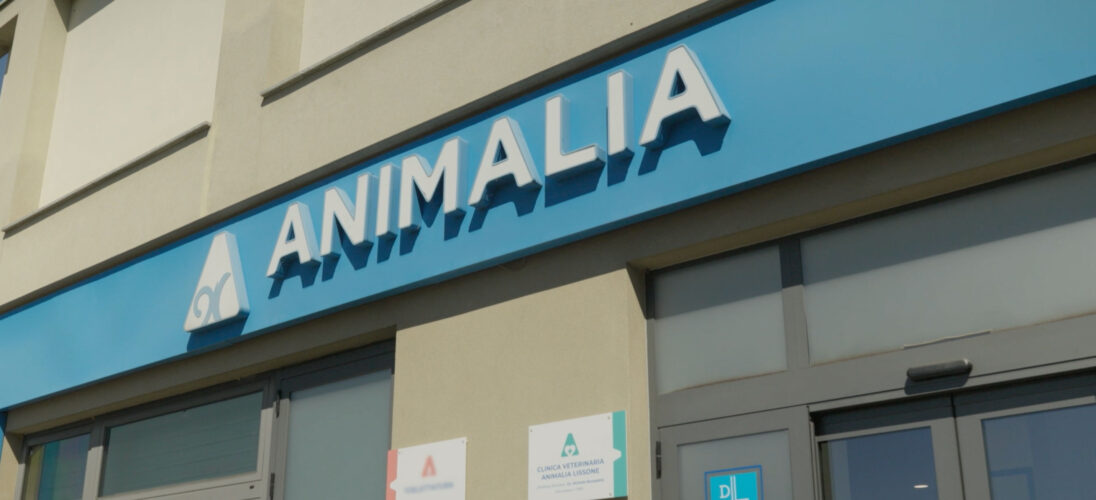 Gruppo Animalia supera le 100 cliniche veterinarie in Italia
