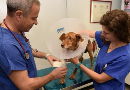 Dr. Alessandro Garizio